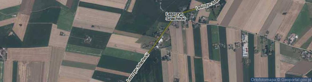 Zdjęcie satelitarne Leszczyn Szlachecki ul.